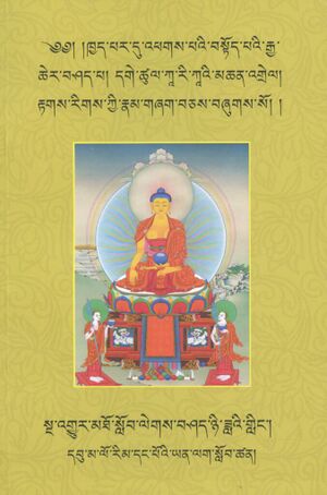 Khyad par du phags pai bstod pai rgya cher bshad pa (Shechen Publications 2024)-front.jpg