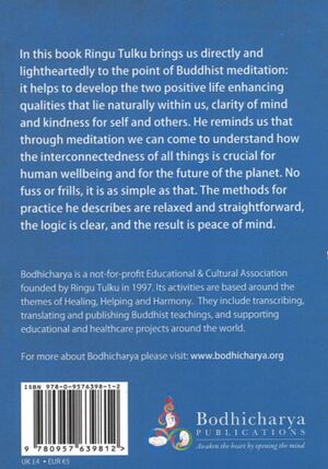 Lazy Lama Looks at Buddhist Meditation (2013)-back.jpg