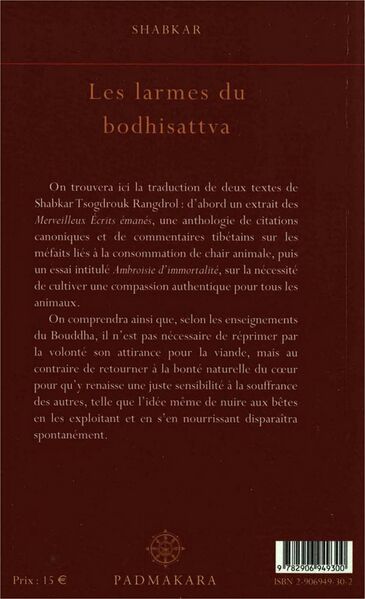 File:Les larmes du bodhisattva-back.jpg