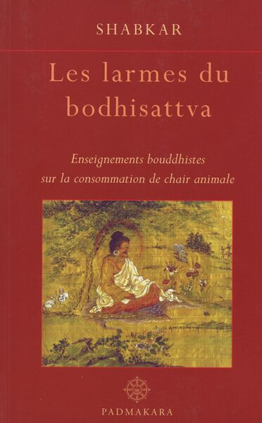 File:Les larmes du bodhisattva-front.jpg