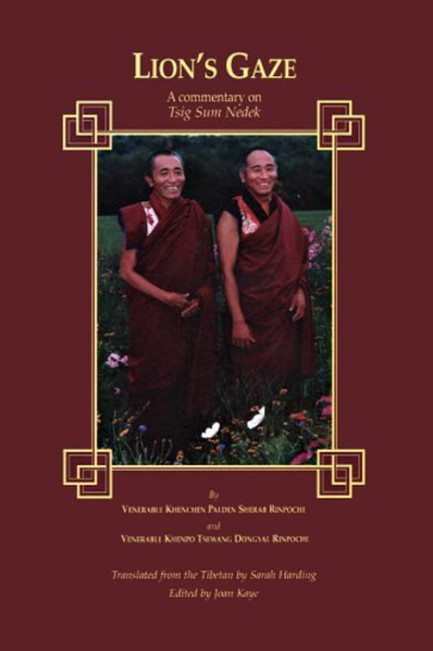 File:Lions Gaze-front.png