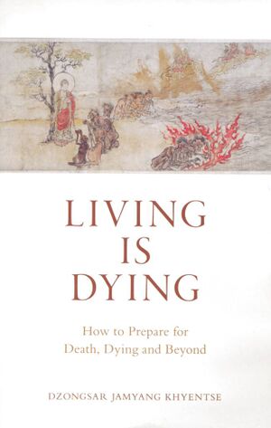 Living is Dying-front.jpg