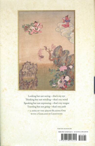 File:Luminous Melodies-back.jpeg