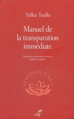 Manuel de la transparution immédiate-front.jpg