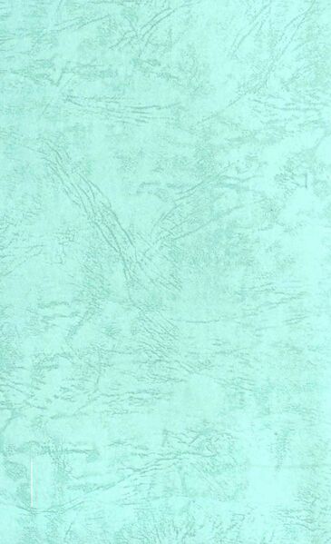 File:Mapping the Path-back.jpg