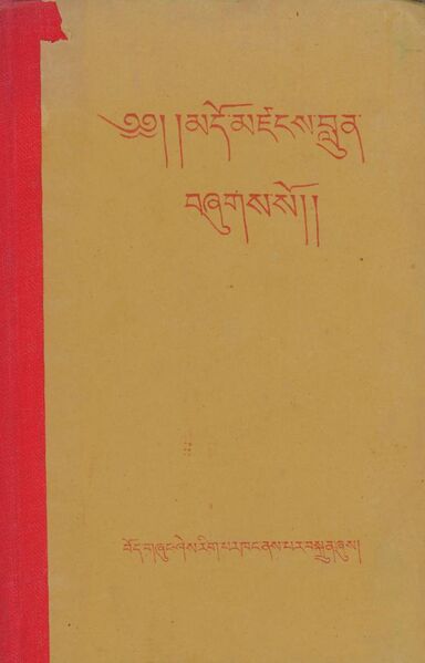 File:Mdo mdzangs blun-front.jpg