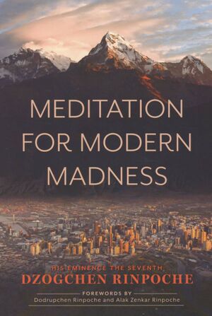 Meditation For Modern Madness (Dzogchen Rinpoche 2024)-front.jpg