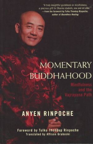 Momentary Buddhahood-front.jpg