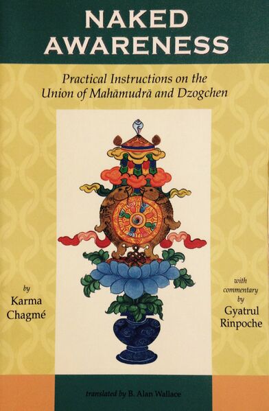 File:Naked Awareness-front.jpg