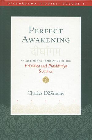 Perfect Awakening (DiSimone 2024)-front.jpg