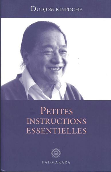 File:Petites instructions essentielles-front.jpg