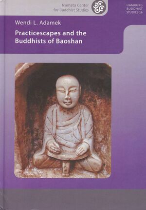 Practicescapes and the Buddhist of Baoshan-front.jpg