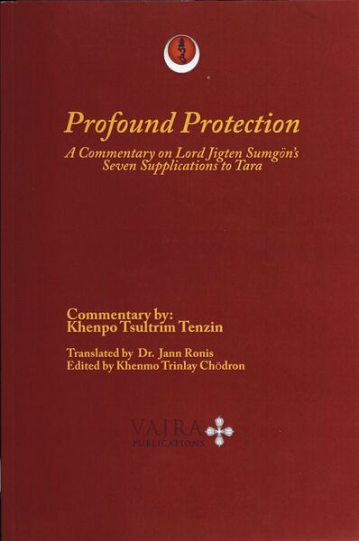 File:Profound Protection-front.jpg