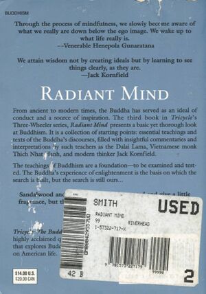 Radiant Mind-back.jpg