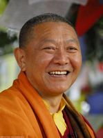 Ringu Tulku-267x358.jpg