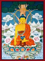 Shakyamuni Buddha Fynn Photograph.jpg