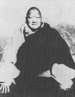 ShechenKongtrul2.pdf