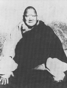 ShechenKongtrul2.pdf