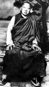 Shechen Kongtrul.jpeg