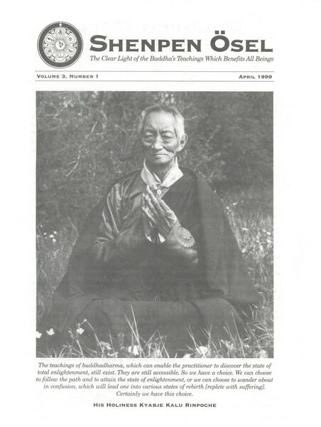 File:Shenpen Ösel Vol. 3 No. 1 (1999)-front.jpg