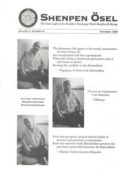 File:Shenpen Ösel Vol. 3 No. 2 (1999)-front.jpg