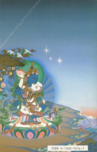 File:Sky Dancer (1984)-back.jpg