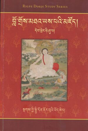 Sngags kyi spyi don nor bu'i 'od zer (Rigpe Dorje Study Series)-front.jpg