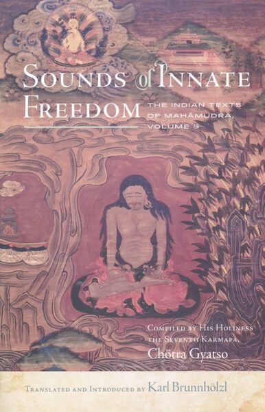 File:Sounds of Innate Freedom - Vol. 5-front.jpg