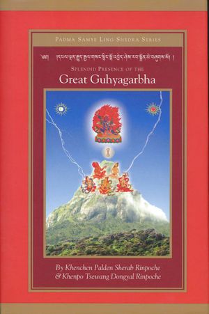 Splendid Presence of the Great Guhyagarbha-front.jpg
