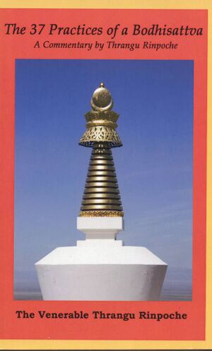 The 37 Practices of a Bodhisattva (Thrangu Rinpoche 2020)-front.jpg