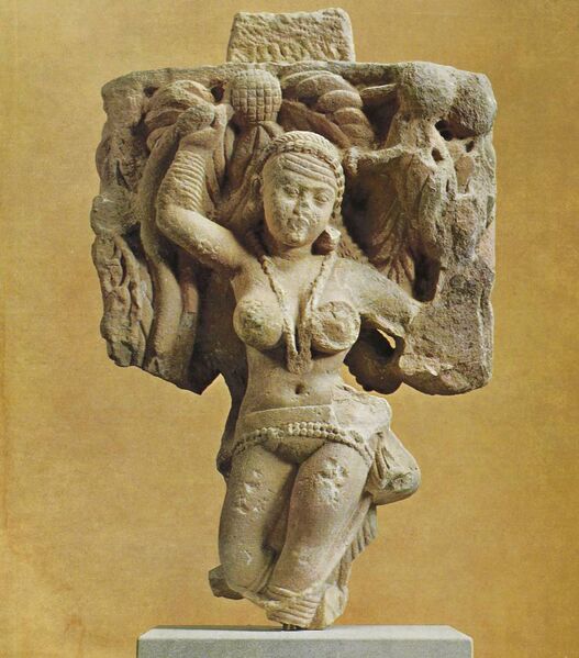 File:The Arts of India and Nepal-front.jpg