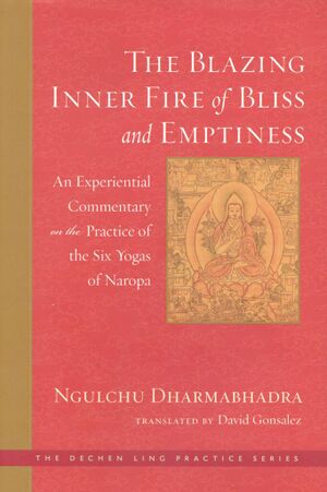 The Blazing Inner Fire of Bliss and Emptiness (Gonsalez 2024)-front.jpg