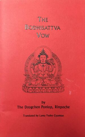 The Bodhisattva Vow-DzogchenPonlop-front.jpg