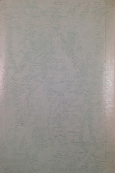 File:The Chapter on the Mundane Path Vol.1-back.jpg