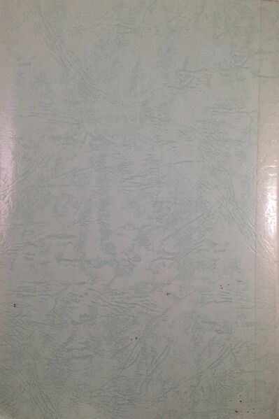 File:The Chapter on the Mundane Path Vol.2-back.jpg