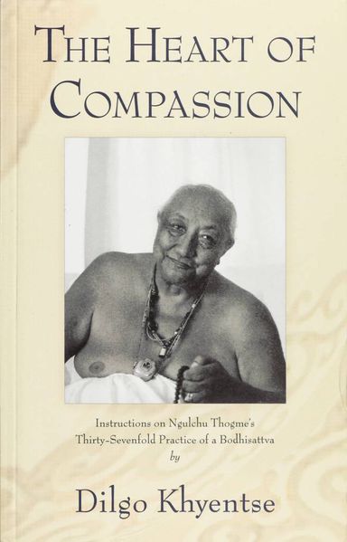 File:The Heart of Compassion-front.jpg