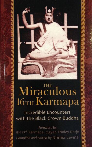 File:The Miraculous 16th Karmapa-front.jpg