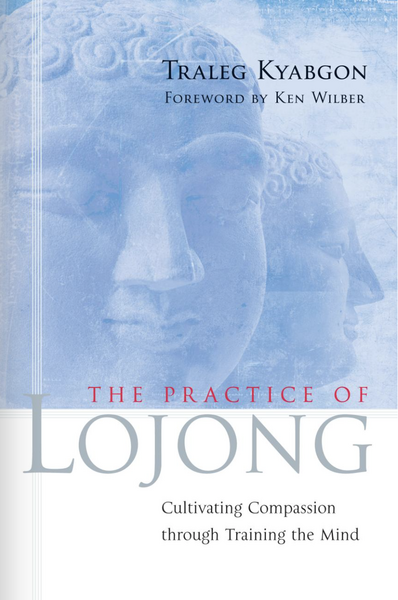 File:The Practice of Lojong-front.png