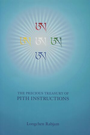 The Precious Treasury of Pith Instructions (2006)-front.jpg