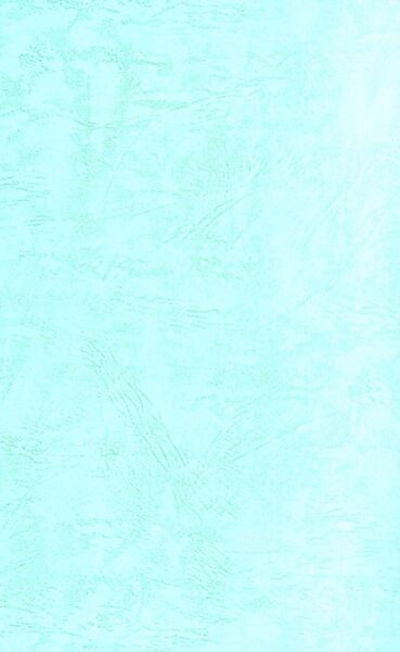 File:The Resolve to Become a Buddha-back.jpg