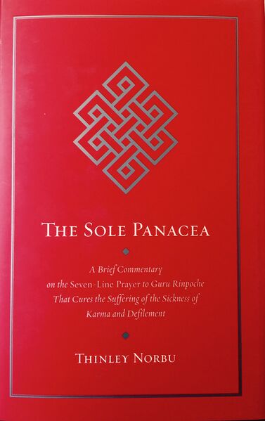 File:The Sole Panacea-front.jpg