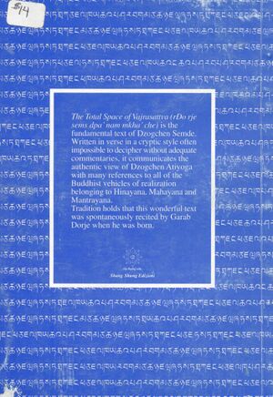 The Total Space of Vajrasattva (Clemente 1999)-back.jpg