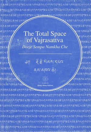 The Total Space of Vajrasattva (Clemente 1999)-front.jpg