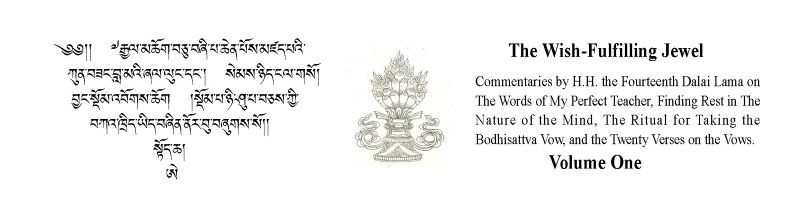 File:The Wish Fulfilling Jewel (Shechen 2025) .jpg