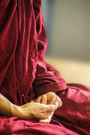 Theravada-monk-free-pic 3 higher trainings squooshed.jpg
