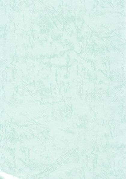 File:Tibetan Yoga and Mysticism-back.jpg