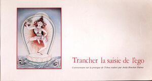 Trancher la saisie de lego-front.jpg