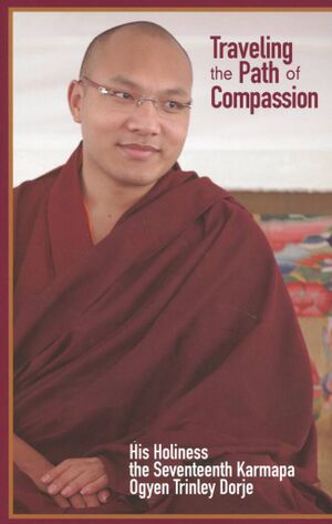 Traveling the Path of Compassion A Commentary on The Thirty-Seven Practices of a Bodhisattva-front.jpg