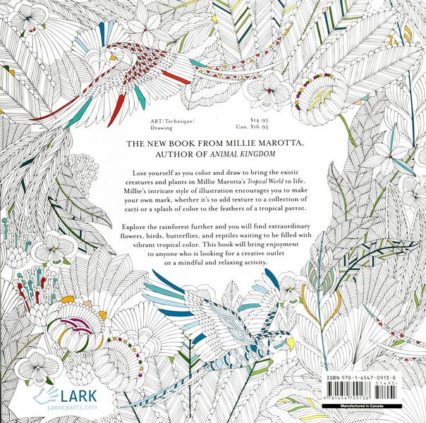 File:Tropical World-back.jpg