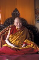Trulshik Rinpoche.jpeg